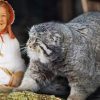 Бабушка приютила котенка, даже не догадываясь, что это опаснейший хищник – и однажды его час настал