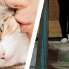 Сестра попросилась ко мне пожить и выкинула моего кота. Теперь обижается, что я...