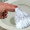 Как сохранять унитаз чистым и не пользоваться освежителем воздуха