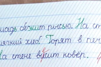 У учителей тоже бывают плохие дни: комичные записи в дневниках и тетрадях