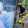 «Откопай меня через год» – умоляла теща в последнюю минуту жизни. От увиденного в гробу зять поседел…