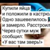 17 доказательств того, что жизнь побеждает всё
