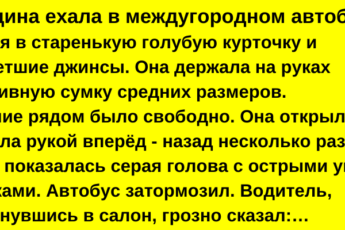 Женщина ехала в междугородном автобусе. Одетая в…