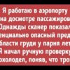Это могло произойти только в аэропорту: 13 удивительных историй