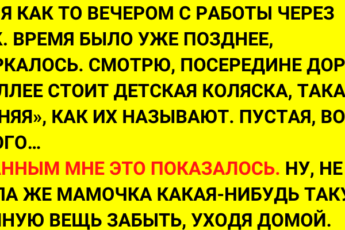 Шла я как то вечером с работы через парк. А на дороге стоит детская коляска…