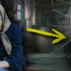 Пауки неспроста приходят в ВАШ дом – я однажды вымела всю паутину... и пришла беда