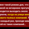 Забавные истории из жизни. Хороший юмор для хорошего настроения