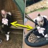 Она провела 16 дней с МЕРТВОЙ дочкой, гуляла с ней в парке и сняла всё на камеру