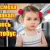 4-летняя ДОЧЬ уступила место БАБУЛЕ в автобусе: от смеха ПЛАКАЛ весь салон…