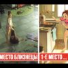 Лучшая хозяйка по знаку зодиака: шуточный гороскоп