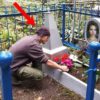 Подкрашивая оградку на могиле жены, вдовец заметил дыру под крестом. Заглянув туда...