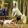 Случному жеребцу подкинули в загон девушку. Мужики ждали зрелища, а получили...