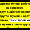В деревне мужик работает на сенокосе + Сборник Смешных Анекдотов