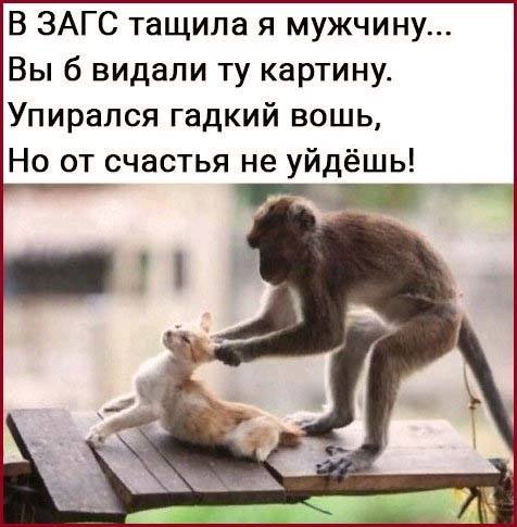 Жена и любовник целуются, заходит муж + Сборник Смешных Анекдотов