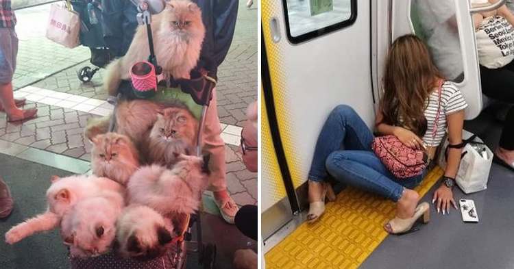 Странности японцев, которые никогда не поймут и не оценят наши люди