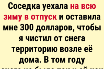 Истории о том, как люди заработали самые легкие деньги в своей жизни