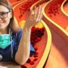 Какой дешевый фрукт сбивает уровень холестерина