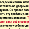 13 историй о том, как люди проучили наглых соседей