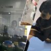 Девушка клонировала погибшую собаку за 2 млн рублей — история вызвала споры в соцсетях