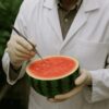 Как выращивают арбузы без косточек и вредны ли они для здоровья