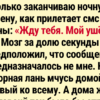 10+ ошибок, после которых стыдно жить, но смешно вспоминать