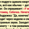16 реальных приключений, случившихся в съёмных квартирах