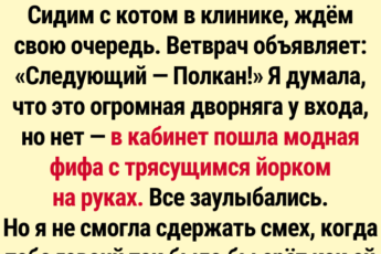 20+ уморительных кличек, что вызывают хохот прямо в очереди к ветеринару