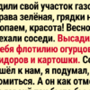 14 историй, доказывающих, что с соседями не соскучишься