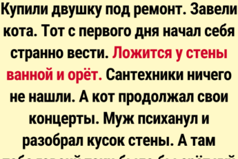 15 неожиданных историй, в которых замешаны хвосты, усы и тайны