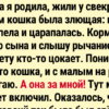 18 историй, в которых домашние питомцы были главными зачинщиками хаоса