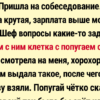 18 историй о питомцах, которые и клад найдут, и карьеру устроят