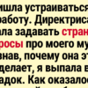 14 самых странных вопросов на собеседовании — когда интервью превращается в чистый сюр