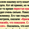 16 пушистых хитрецов, рядом с которыми кошелёк хозяина долго не живёт