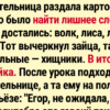 17+ историй от мастеров «особой» грамотности