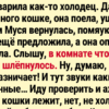 14+ историй о пушистиках, у которых есть всё — мягкие лапки, острый ум и доброе сердце