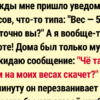 14+ историй, доказывающих, что в каждой семье найдется свой юморист