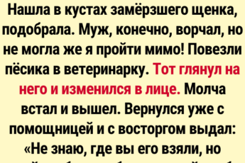 15 трогательных историй спасения животных: люди, которые не смогли пройти мимо чужой беды