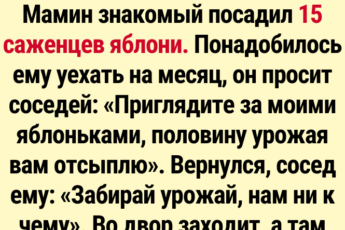 Смешные истории про соседей по даче: 17 забавных случаев из реальной жизни