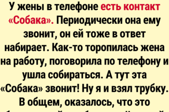 Как смешно записать контакты в телефоне: 19 самых уморительных примеров