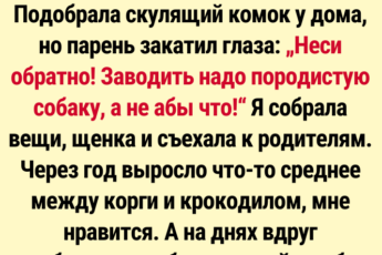 15 наглых морд, которые просто пришли и отжали диван (и наше сердечко) ❤️